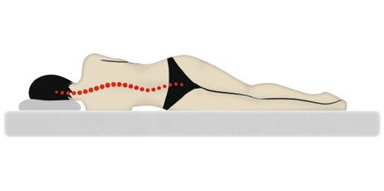 Grafik zur physikalischen Gegenkraft bei Matratzen und K&ouml;rpergewicht